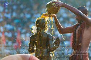 Batch 20161016 5455 CMP WM.jpg