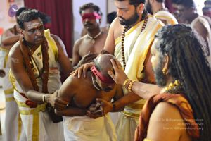 Batch 20161016 5881 CMP WM.jpg