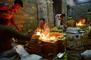 Batch 20161016 5912 CMP WM.jpg