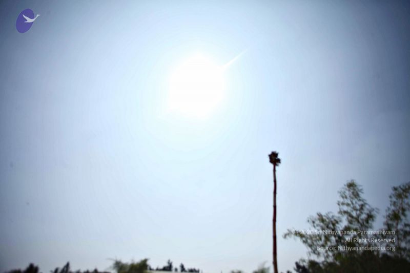 File:Batch 20170117 8441 CMP WM.jpg