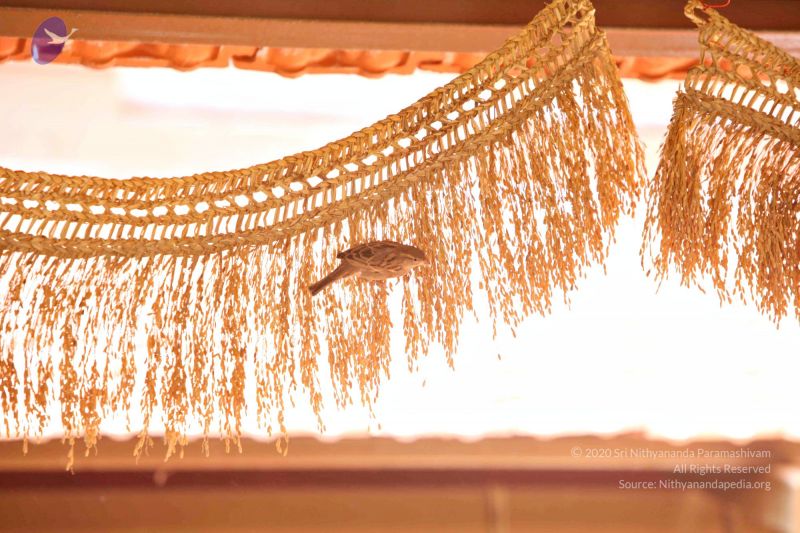 File:Batch 20170117 8527 CMP WM.jpg