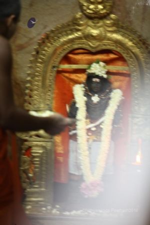 Batch IMG 0132-Photo-20120526-SSJP.jpg