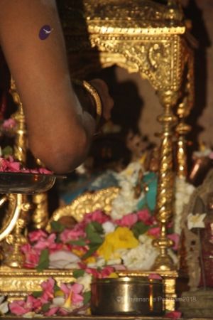 Batch IMG 0320-Photo-20120514-SSJP.jpg