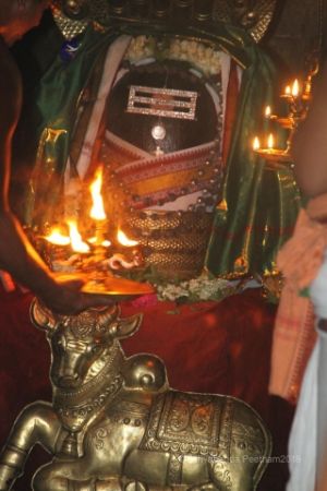 Batch IMG 1846-Photo-20120516-SSJP.jpg