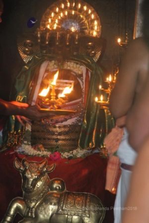 Batch IMG 1848-Photo-20120516-SSJP.jpg