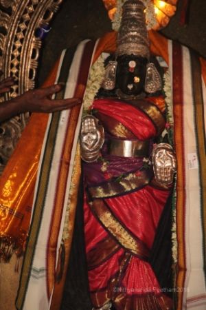 Batch IMG 2022-Photo-20120516-SSJP.jpg