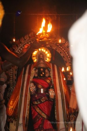 Batch IMG 2033-Photo-20120516-SSJP.jpg