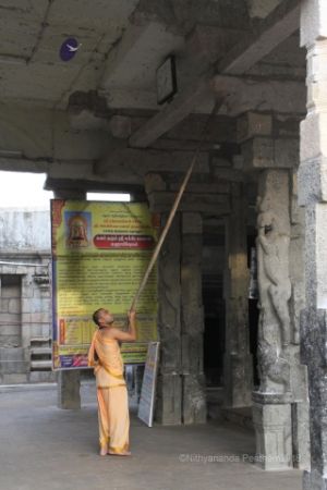 Batch IMG 2115-Photo-20120530-SSJP.jpg