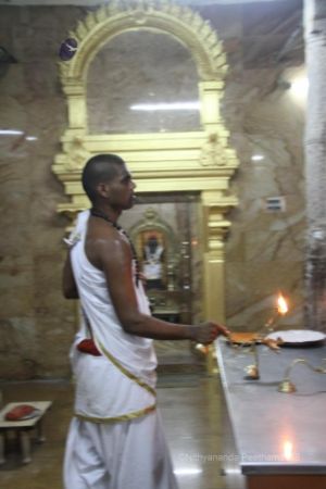 Batch IMG 2215-Photo-20120629-SSJP.jpg