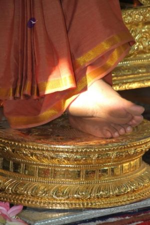 Batch IMG 2258-Photo-20120517-SSJP.jpg