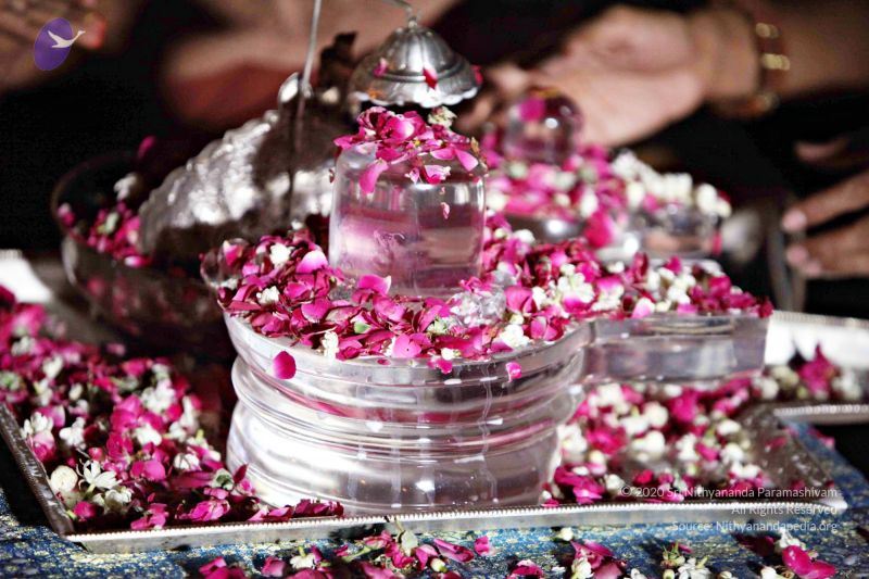 File:Batch IMG 2566 CMP WM.jpg