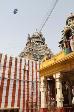 Batch IMG 2883-Photo-20120531-SSJP.jpg