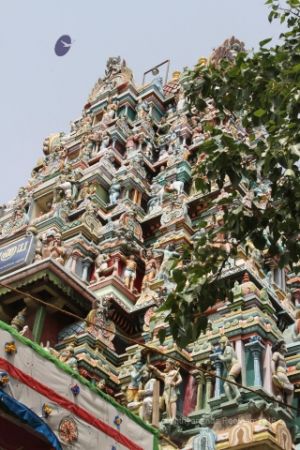 Batch IMG 2934-Photo-20120531-SSJP.jpg