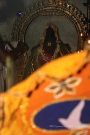 Batch IMG 3294-Photo-20120518-SSJP.jpg