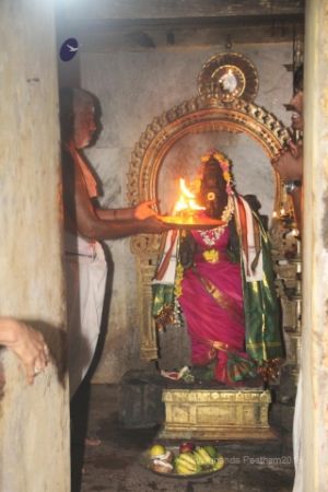 Batch IMG 3309-Photo-20120518-SSJP.jpg