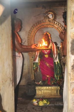 Batch IMG 3310-Photo-20120518-SSJP.jpg