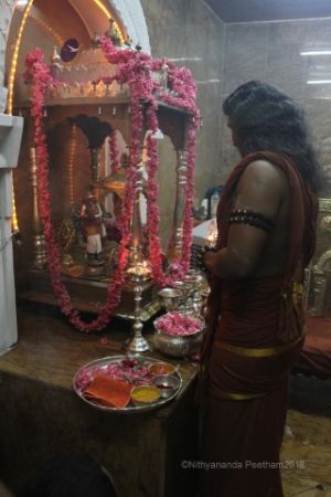 Batch IMG 3434-Photo-20120601-SSJP.jpg