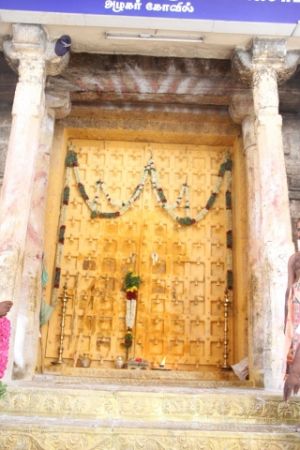 Batch IMG 5702-Photo-20120509-SSJP.jpg