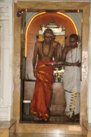 Batch IMG 5775-Photo-20120509-SSJP.jpg