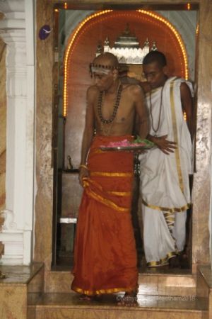 Batch IMG 5776-Photo-20120509-SSJP.jpg