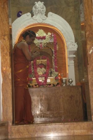 Batch IMG 6639-Photo-20120605-SSJP.jpg