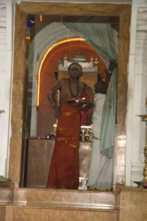 Batch IMG 8916-Photo-20120512-SSJP.jpg