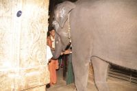 Batch IMG 9300-Photo-20120820-SSJP.jpg