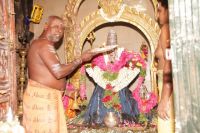 Batch IMG 9396-Photo-20120820-SSJP.jpg