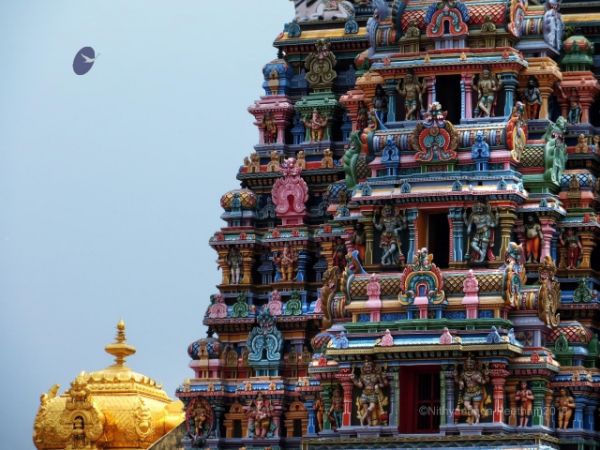 Batch Madurai 80-Photo-20120529-SSJP.jpg
