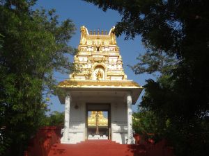 Copy of Hyderabad Ashram RajaGopuram Shines during Morning Sun light.jpg