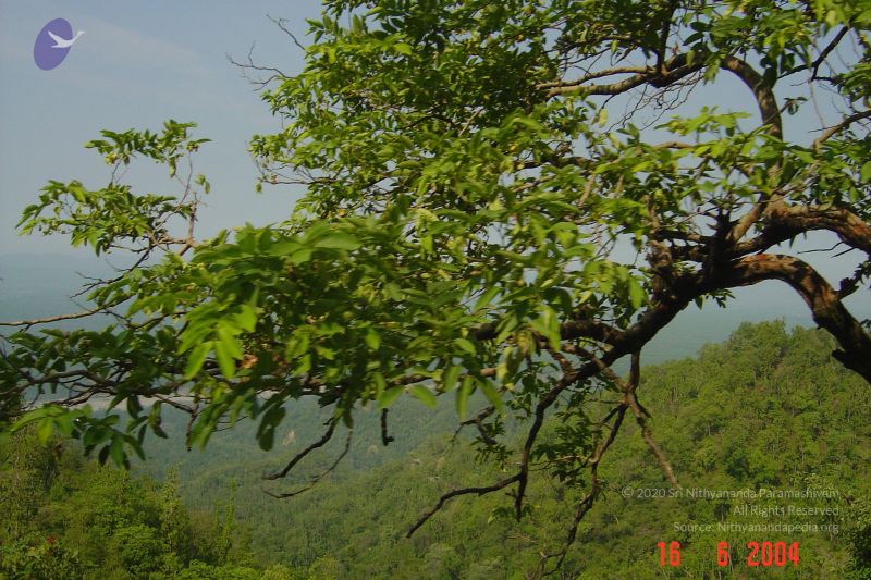 File:DSC04316 CMP WM.jpg