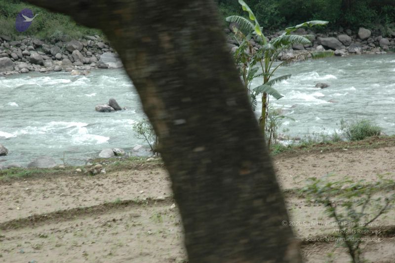File:DSC 0031 CMP WM.jpg