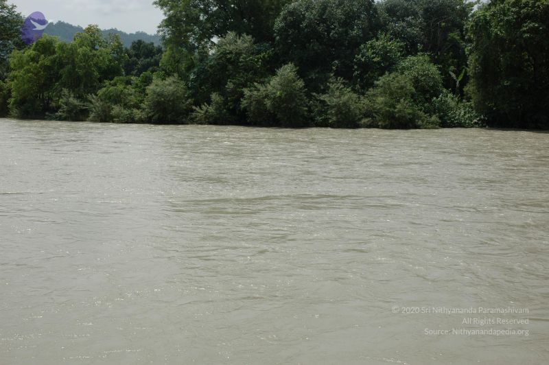 File:DSC 0227 CMP WM.jpg