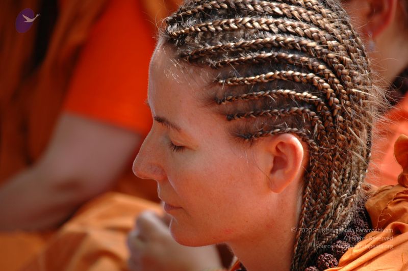 File:DSC 0237 CMP WM.jpg