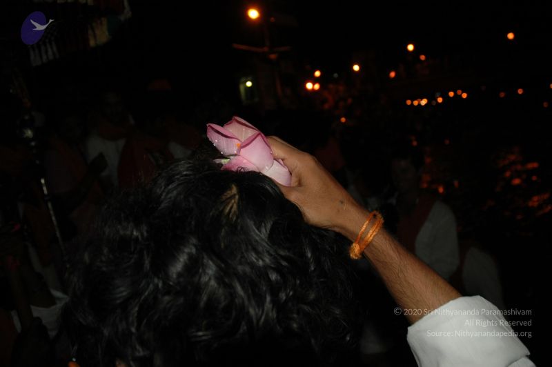 File:DSC 0292 CMP WM.jpg