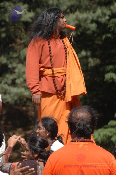 File:DSC 8608 CMP WM.jpg