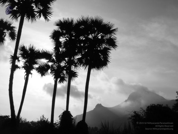 HILL Tiruvannamalai Arunachala 6Apr2007 (12)-12.jpg