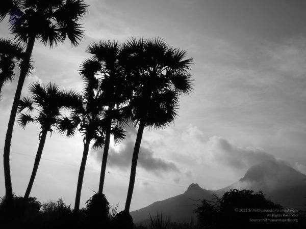 HILL Tiruvannamalai Arunachala 6Apr2007 (13)-13.jpg
