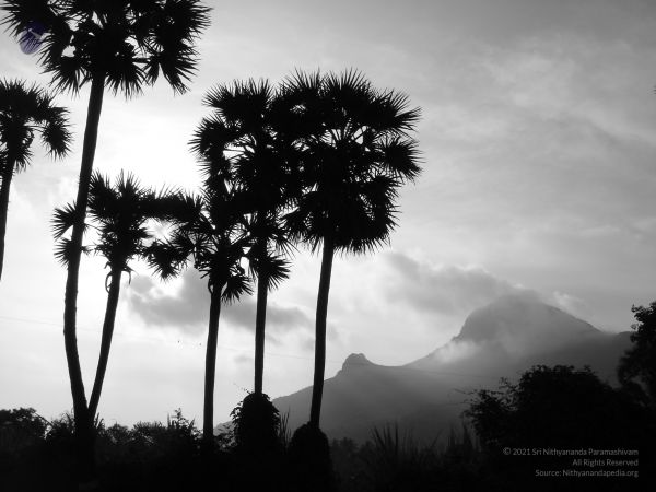 HILL Tiruvannamalai Arunachala 6Apr2007 (14)-14.jpg