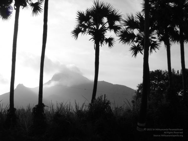 HILL Tiruvannamalai Arunachala 6Apr2007 (16)-16.jpg