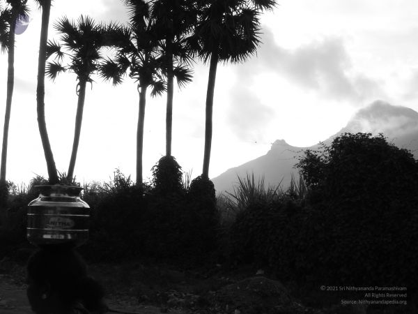 HILL Tiruvannamalai Arunachala 6Apr2007 (22)-22.jpg