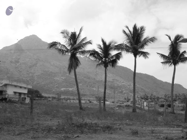 HILL Tiruvannamalai Arunachala 6Apr2007 (41)-40.jpg