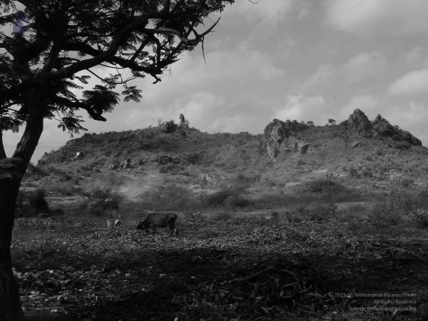HILL Tiruvannamalai Arunachala 6Apr2007 (58)-50.jpg