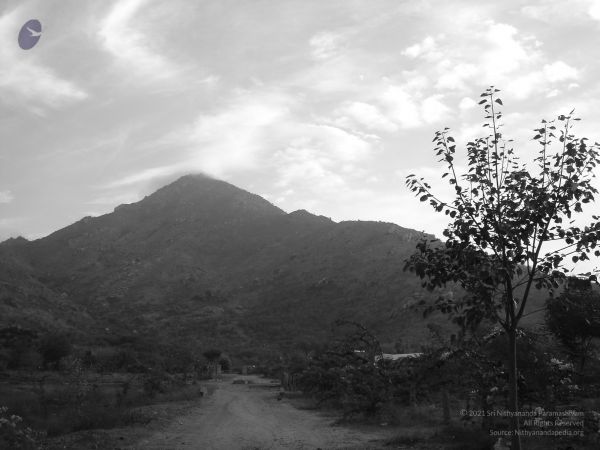 HILL Tiruvannamalai Arunachala 6Apr2007 (75)-65.jpg