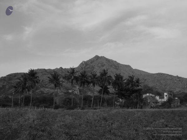HILL Tiruvannamalai Arunachala 6Apr2007 (90)-80.jpg