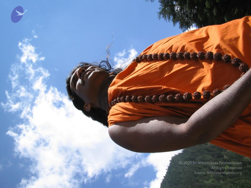 File:Himalayan tour 032 CMP WM.jpg