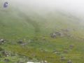 Thumbnail for version as of 09:49, 2 March 2021