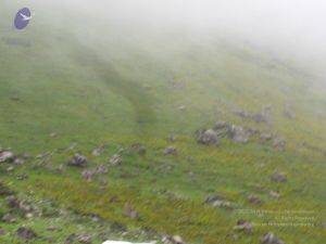 Himalayan tour 063 CMP WM.jpg