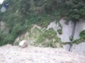 Thumbnail for version as of 09:49, 2 March 2021