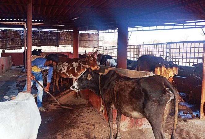 Image 2021-12-29 at 07.41.15.jpeg